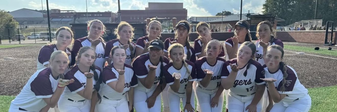 softball_ap7's profile banner image