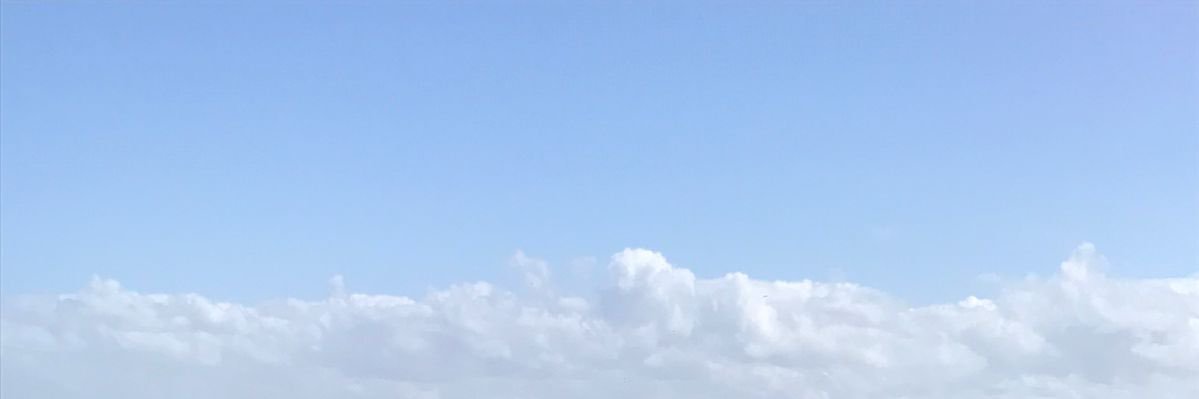 AIA Generated NFT banner