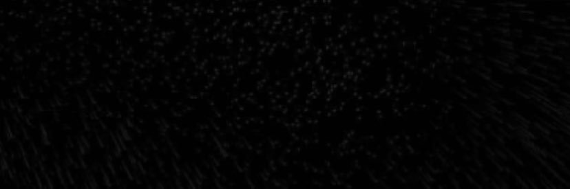 natzampi's profile banner image