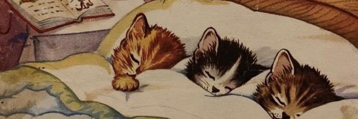 smellycatssss's profile banner image