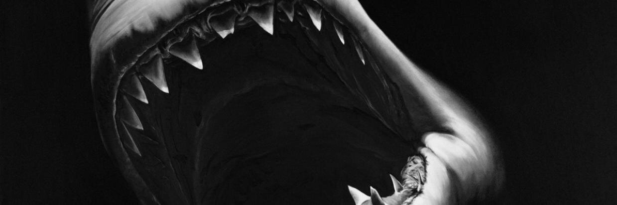 paals's profile banner image