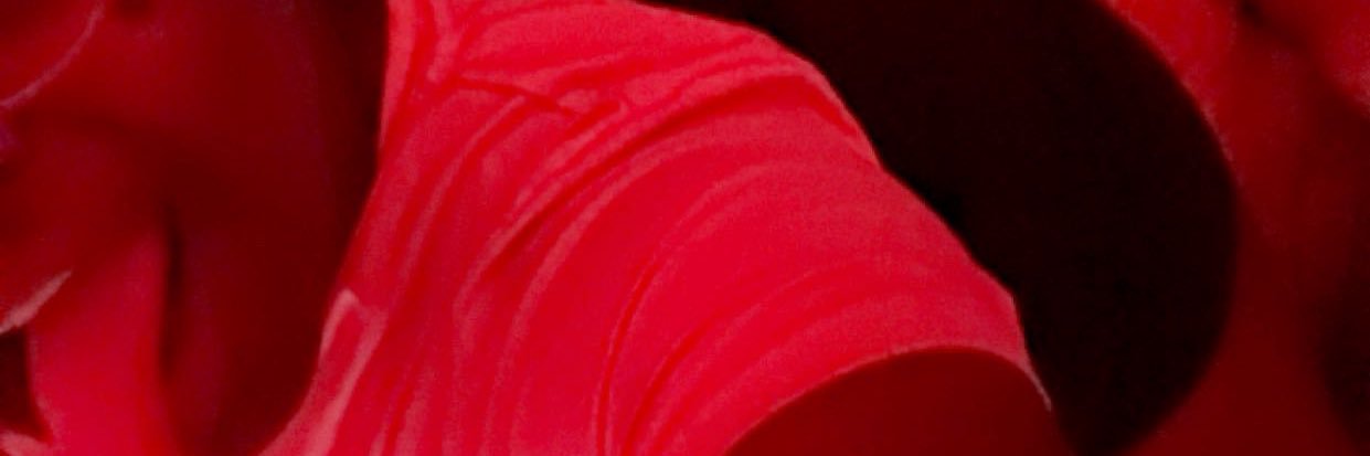 izliyah_'s profile banner image