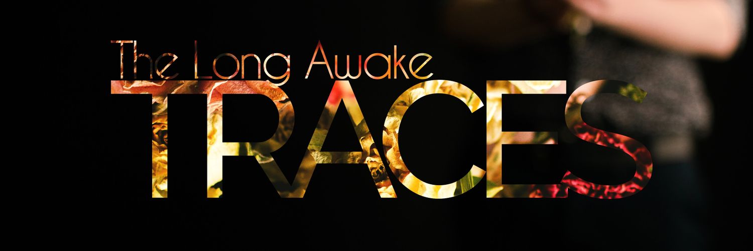 TheLongAwake's profile banner image