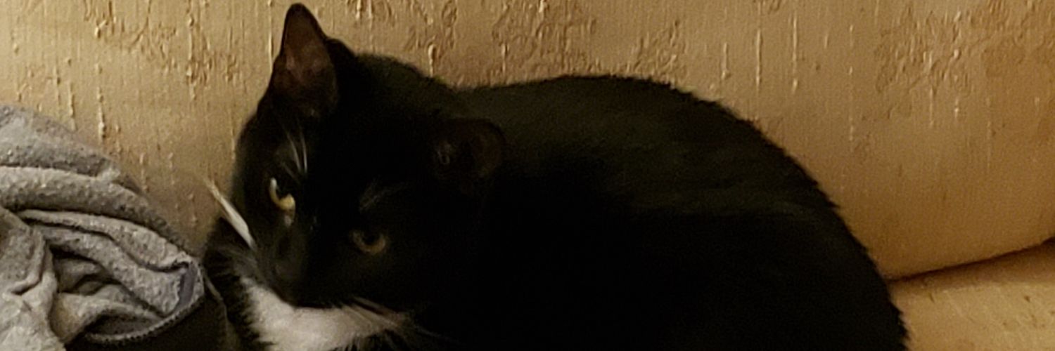 freyaheart's profile banner image