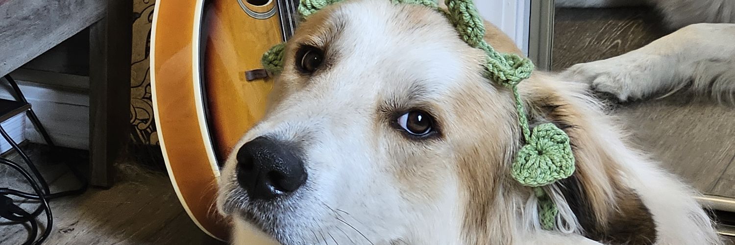 Kari_poo banner