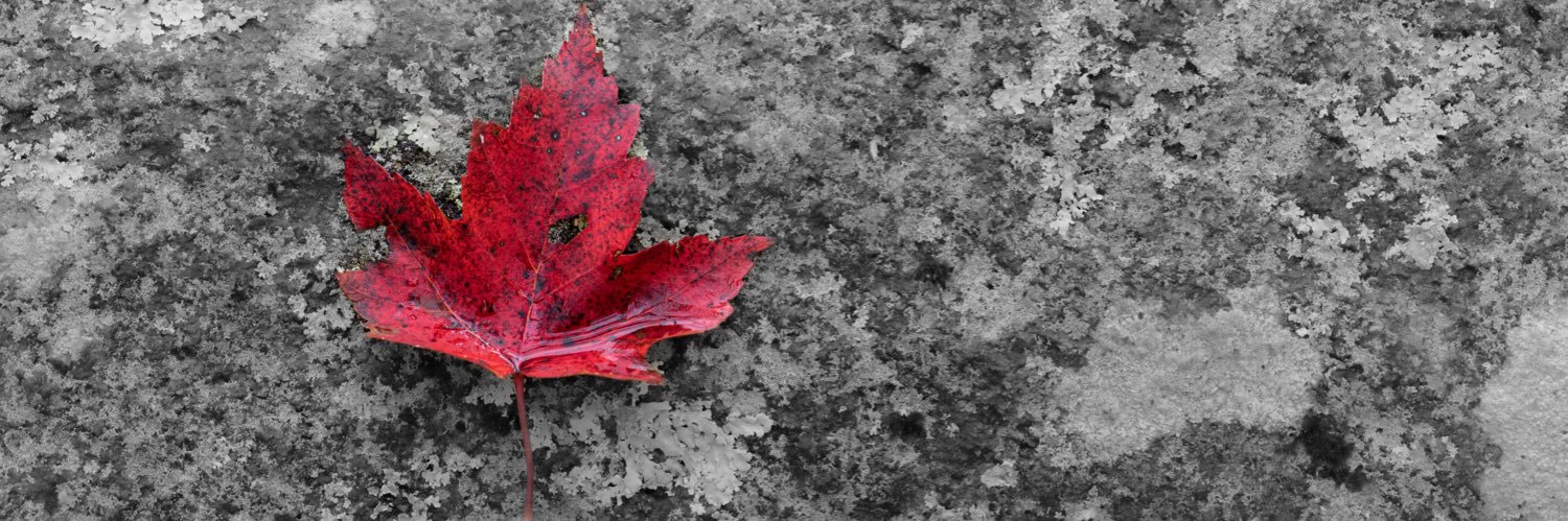 jbradc's profile banner image