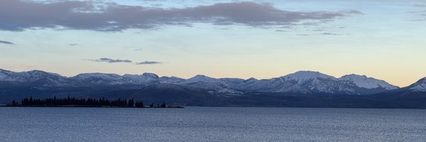 Tom Cross Profile Banner