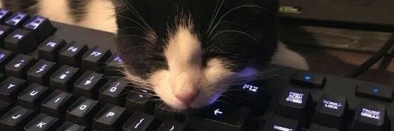 𝘼𝙯𝙝𝙖𝙧 banner