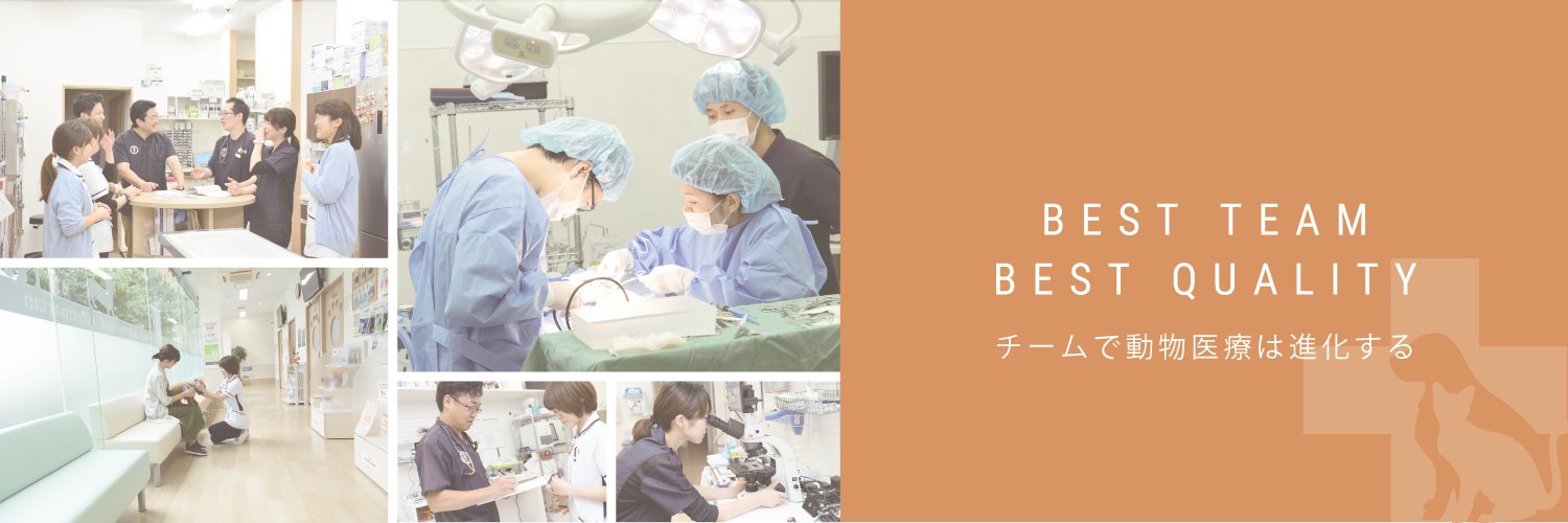primosaiyo's profile banner image