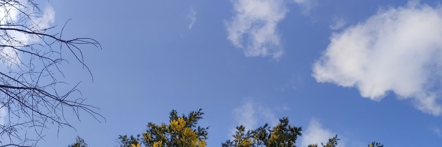 Nadia_one13's profile banner image
