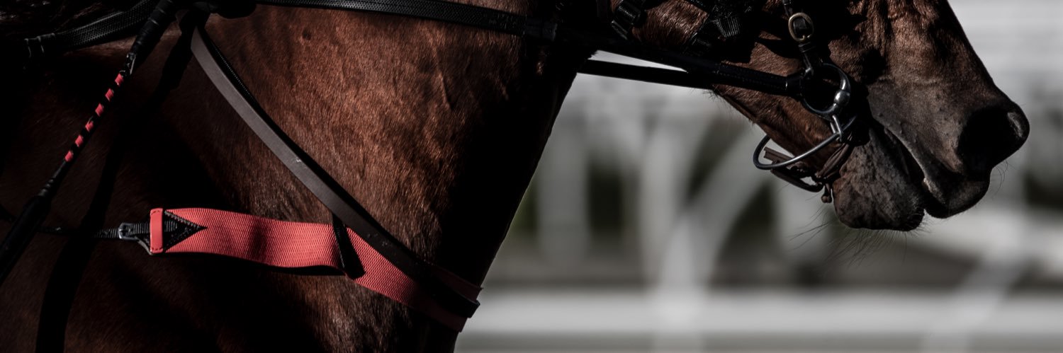 Ruby Lamont banner
