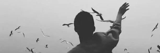 fxdm11's profile banner image