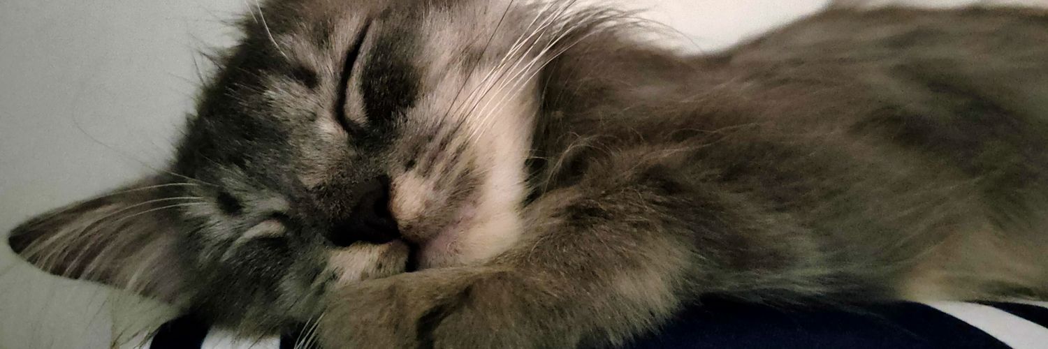 cannot be blank banner