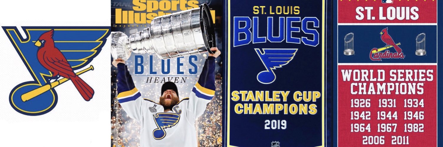 KellyHylandSTL's profile banner image