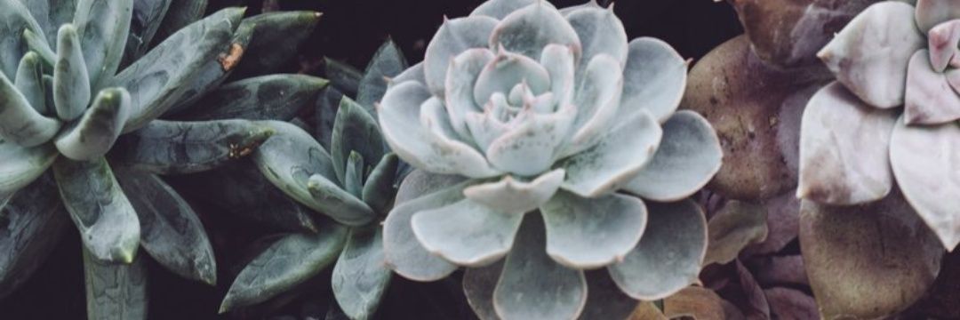 Danielanly's profile banner image