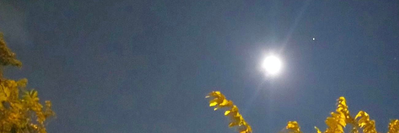 Duck to the Moon banner