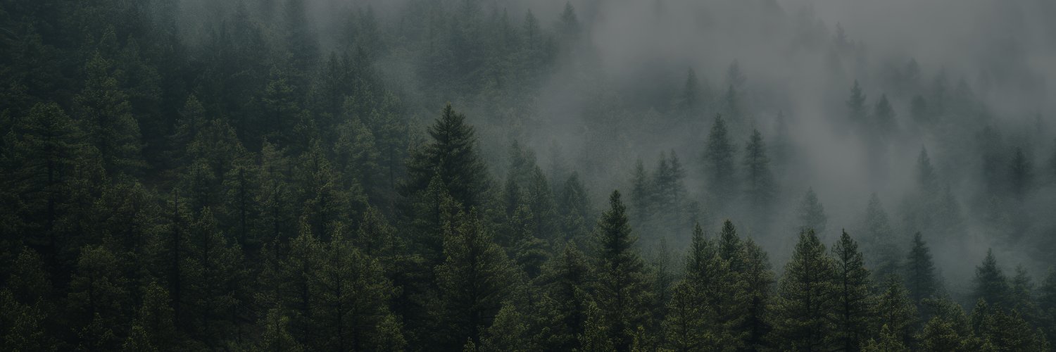 nickdoherty's profile banner image