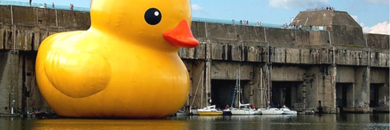 TheDuckVoice banner