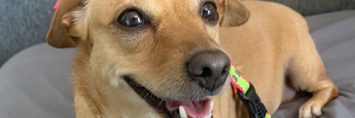 leidyvanegas4's profile banner image