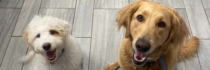 michaelafeck's profile banner image
