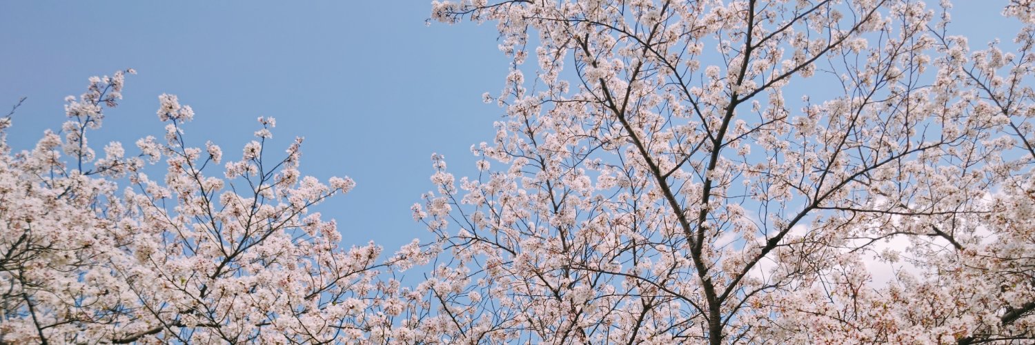 ai_nanda's profile banner image