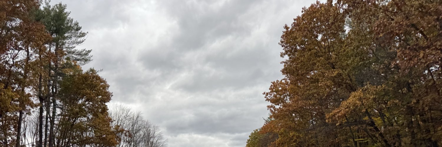 stashmone's profile banner image