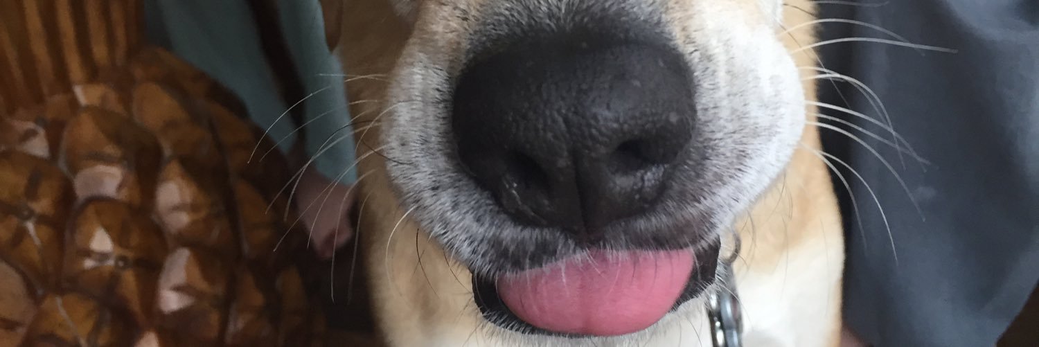 kdawg_40's profile banner image