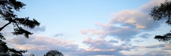 空木 @TOU5期 卒 banner