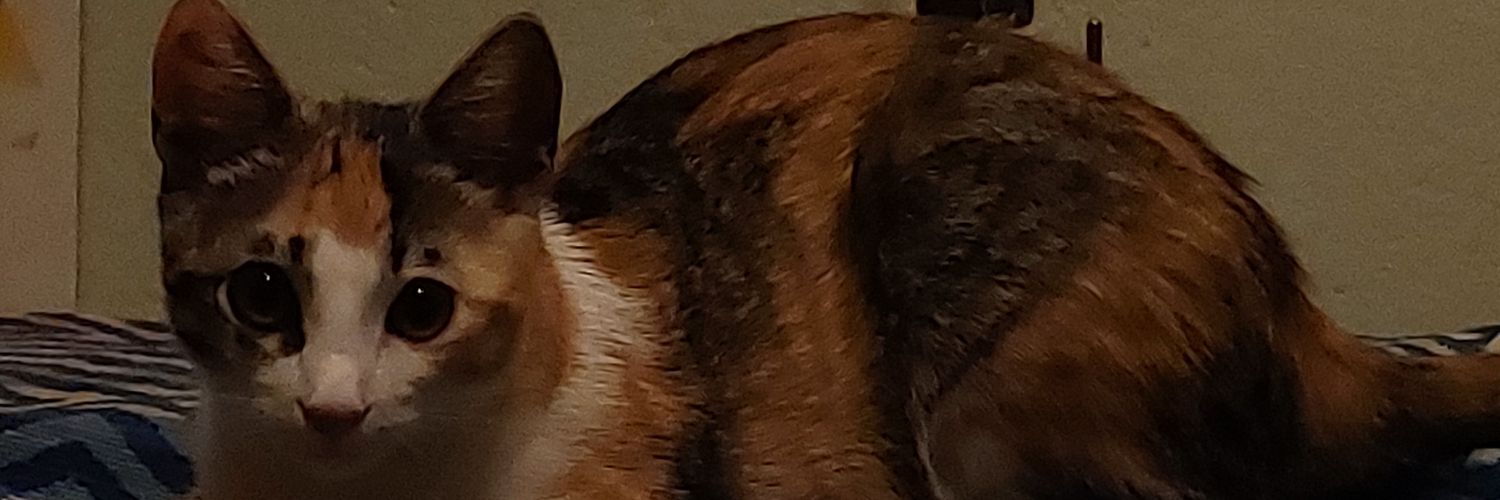 Chapi banner