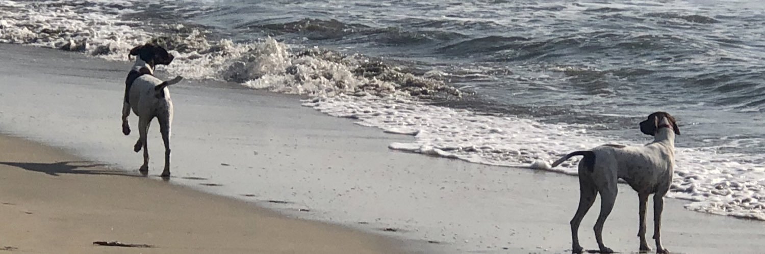 daniellemcook17's profile banner image