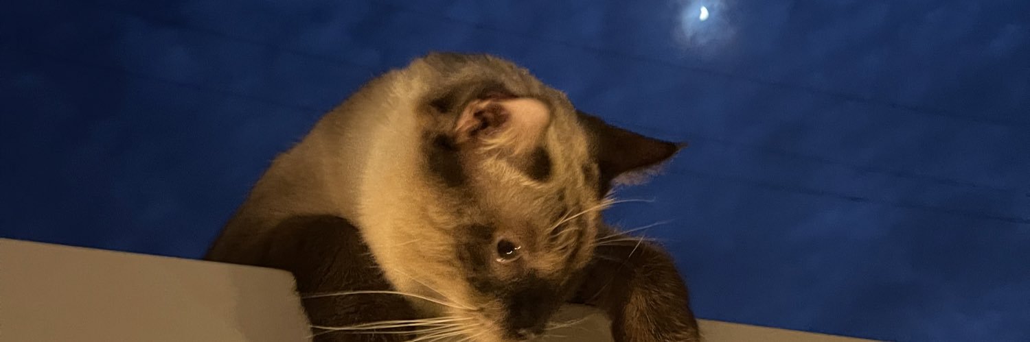 PixellyCat's profile banner image