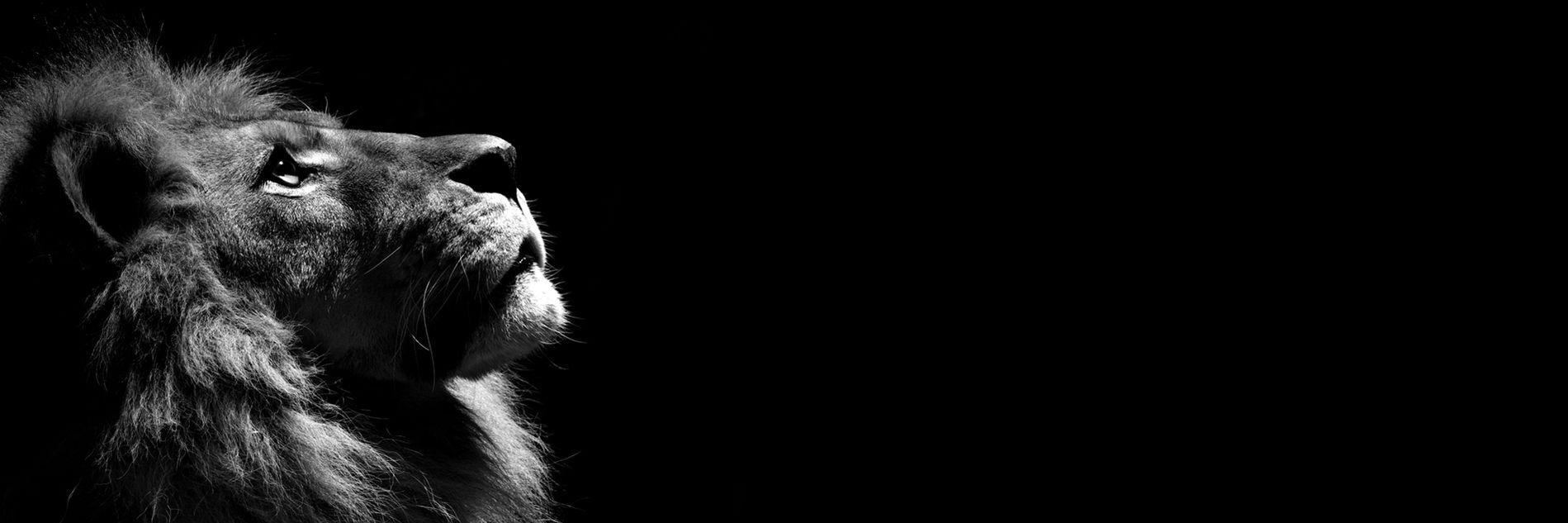 Matthew_Canter's profile banner image