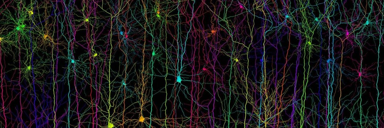 Bruce Martins 🧠 banner