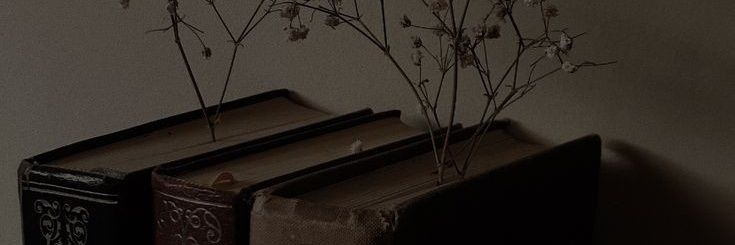 lucidus__'s profile banner image