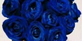 gadoo_2010's profile banner image
