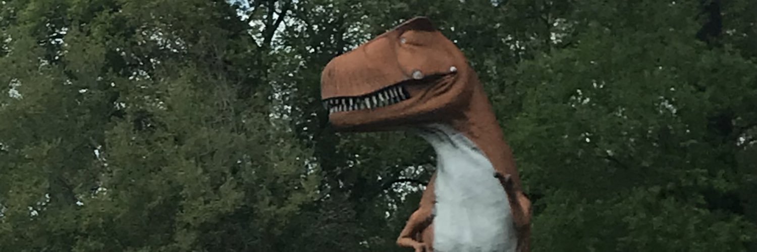 sebi banner