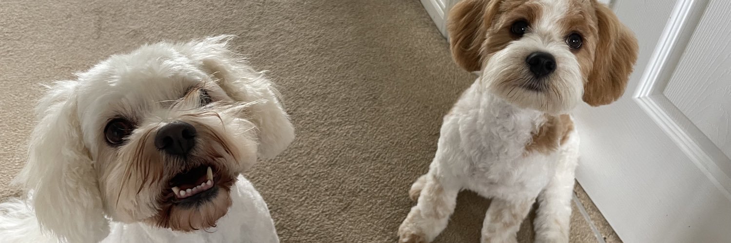 Mrs McElhaney banner