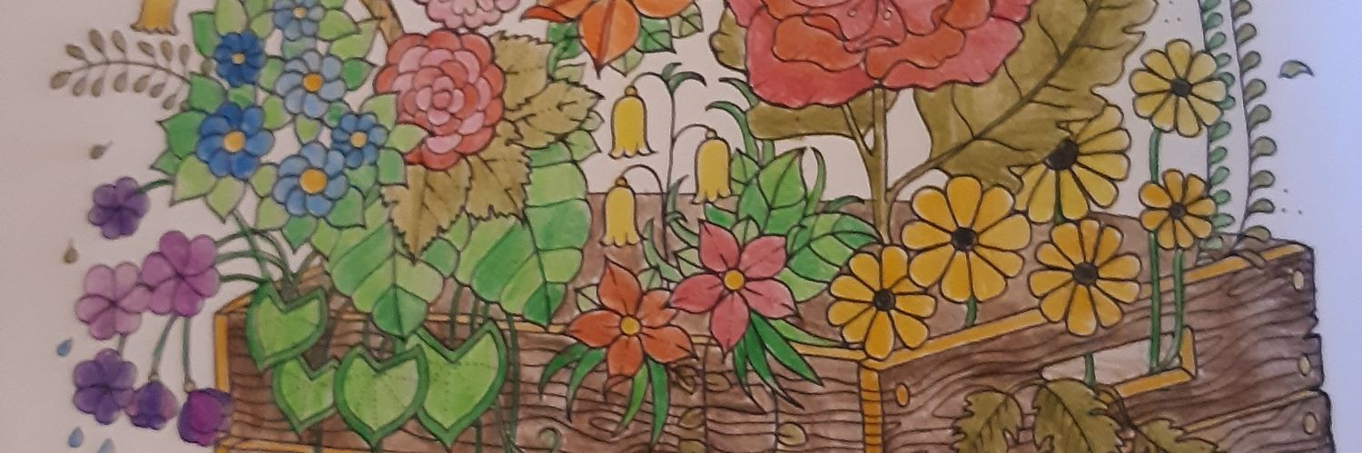 s__babe's profile banner image