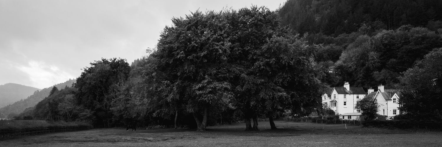 🦋 rojsmith.com is on BlueSky banner