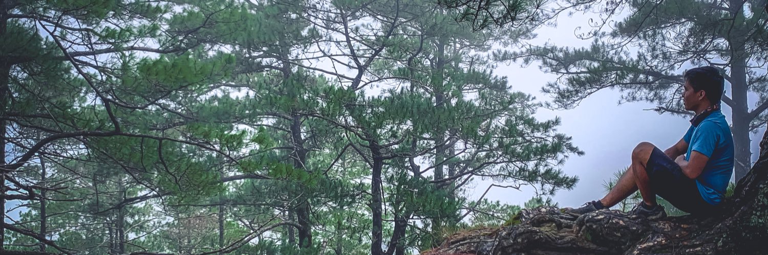 imjoceldacillo's profile banner image