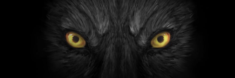 Tyler_Butler37's profile banner image