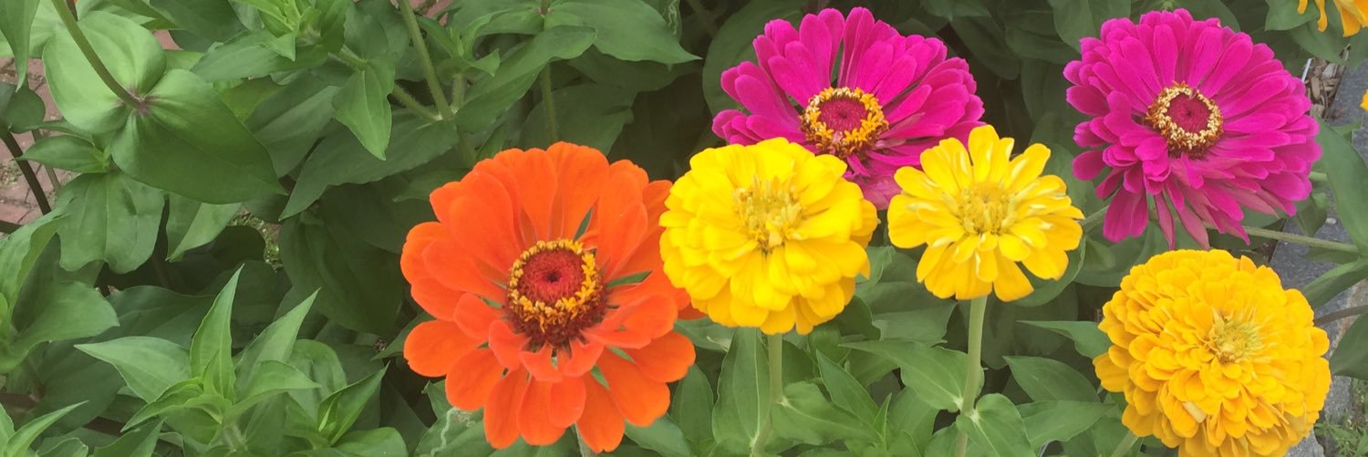 StephensonKimm's profile banner image