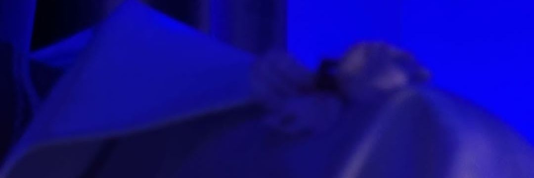 Aylllien's profile banner image
