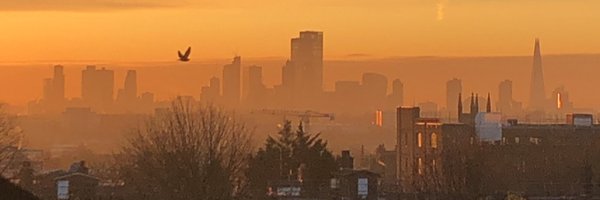 KateNHF Profile Banner