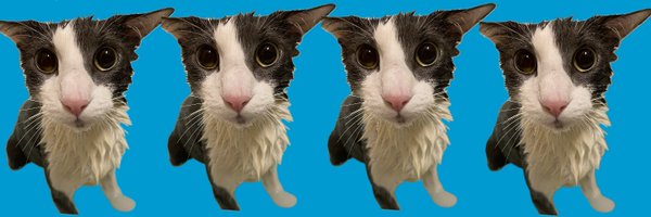 Weedlord_Boner Profile Banner