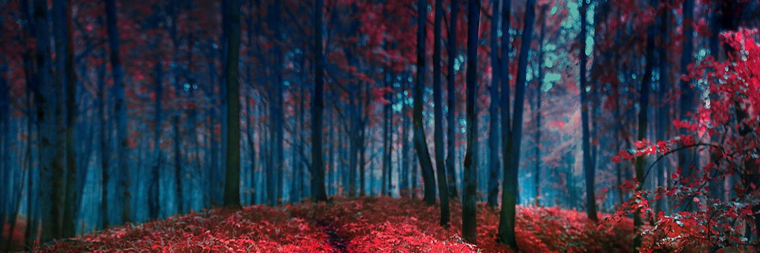 kath_V3's profile banner image