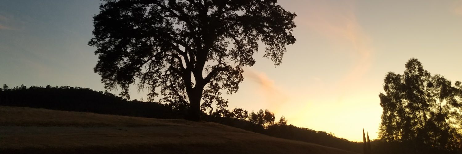 ahouse321's profile banner image