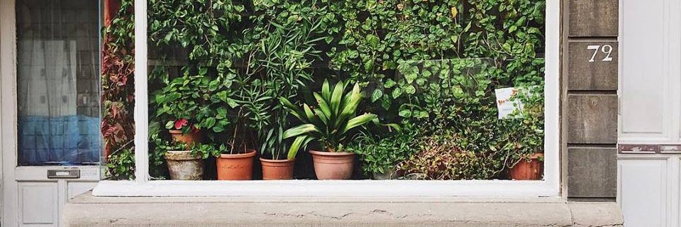 tenenteColetti's profile banner image