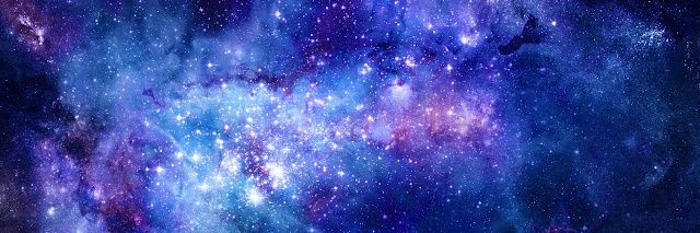 Little Leo banner