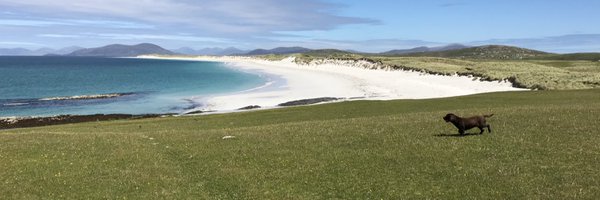 KGBFINGAR Profile Banner